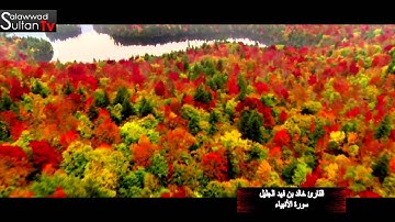 صلاة عشاء 12 جمادي الاول 1436 القارئ خالد الجليل TVSultan I