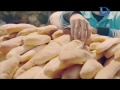 Domty Cheese 2017 Corporate 37 