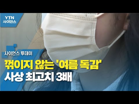 꺾이지 않는 '여름 독감' 사상 최고치 3배..."소아·청소년층 특히 취약" / YTN 사이언스