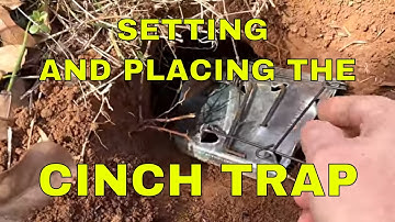 GOPHER TRAPPING USING THE CINCH TRAP