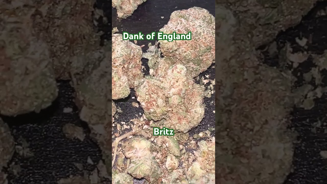 DOE Medical BRITZ T27 Britz Medical Cannabis 