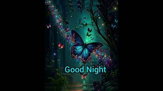 Good Night Sweet Dreams Images Photos Youtube  