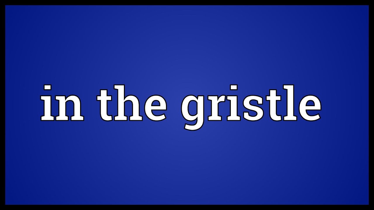 In The Gristle Meaning YouTube