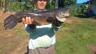 RESULTADO DA ÍSCA DE CASSOTA, FICAMOS ASSOMBRDO COM O TAMANHO DESSE GIGANTE!