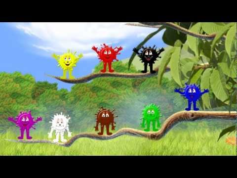 מאבק הצבעים 