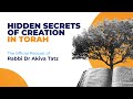 Rabbi Dr Akiva Tatz   The Secret of Creation