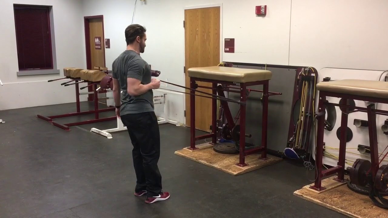 Curtsy Lunge w/ Band Row YouTube