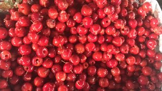 Machinery -C Industrial Cherry Pitting Machine Cherry Stone Removing Machine