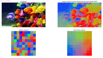 Image Segmentation | Vector Color Quantization | Self Organizing Maps (SOM)