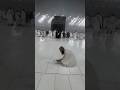 Masha,Allah makkah live madina live #makkah #madina #shorts #hajjlive #shortvideo #mecca