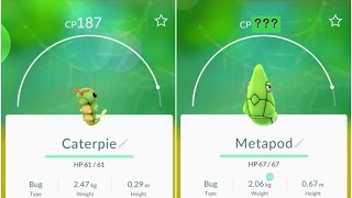 Pokemon Go Caterpie(187) Evolution to Metapod
