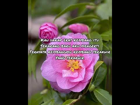 Camellia 1 - 4 __ Ebiet G. Ade