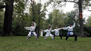 五步拳 | wubuquan | SHAOLIN 5 STEPS | wu-pu-čchüan | 长拳 Profile
