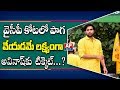 Chandrababu confirms Gudivada MLA ticket to Devineni Avinash?