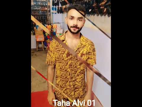 Taha Alvi01 Remix Song Punjabisong Music Dj Lifeisbutadream 