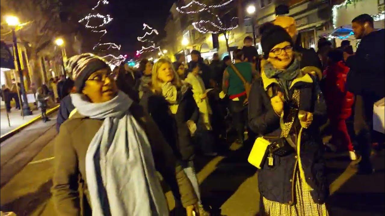 Damodara Priya Devi Dasi Chants Hare Krishna at Hudson Winter Walk