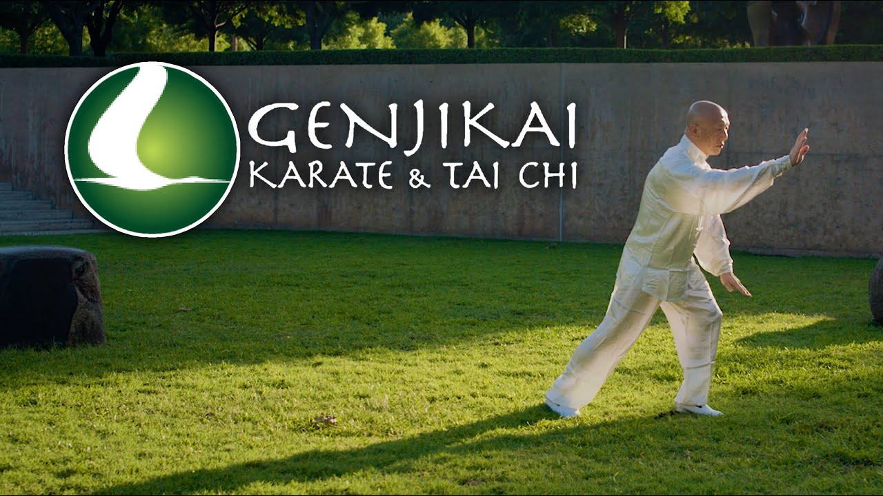 Tai Chi Wu Style Short Form - Sensei Makio Nishida