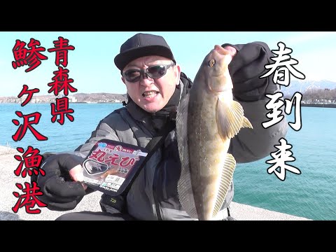 Haruism Youtube