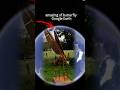 amazing of butterfly Google Earth #shorth #throwpots #googleearth #reels #viral #googlemaps #crushpi