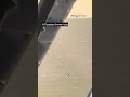Russian Drone Ricocheted Off the Field After Being Shot Down by Ukrainian Marksman #warinukraine