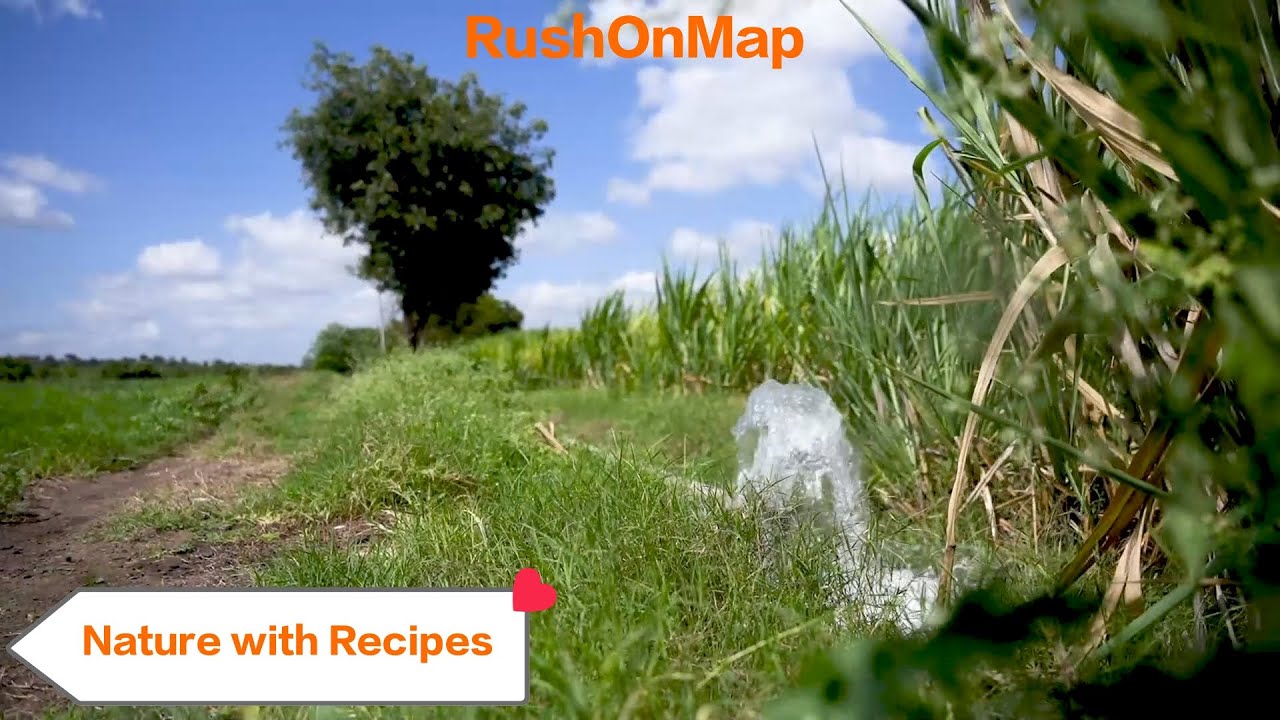 Farm Cooking & Nature Views🌿🍳| Phaltan Countryside Vibes #trending #viral #phaltan #farmlife #travel