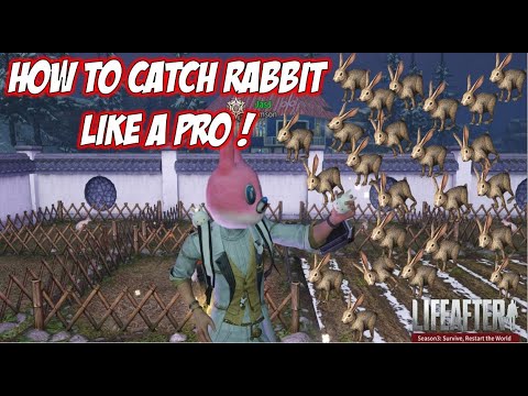 Lifeafter how to catch RABBIT like a pro!