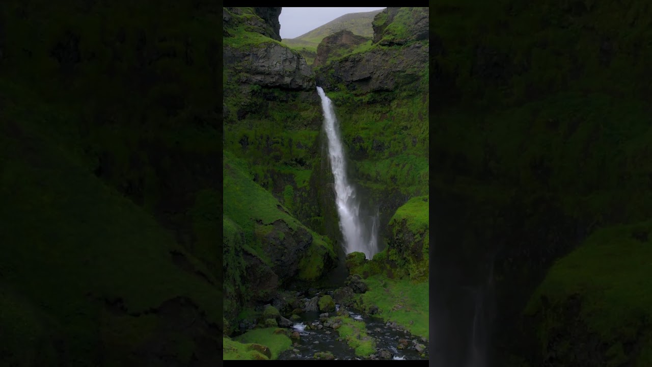 The Soothing Sound of Waterfall and Flowing Streams in the Forest 
