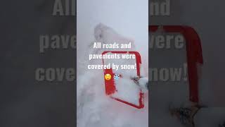 Pavements Were Covered By Snow After One Day Of Blizzard In Hokkaido Japan