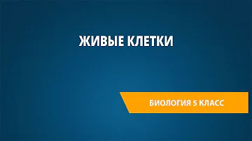 Живые клетки