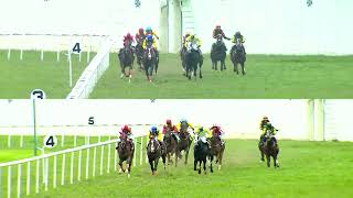 Xanthe The Own Opinion Plate Div I 160