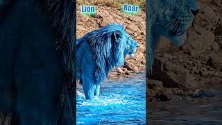 🌈Animal Names and Sounds #nurseryrhymes