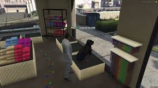 Cdev Pet Shop Fivem Setup - Instructional Video