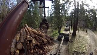 Self Loader Logging Truck