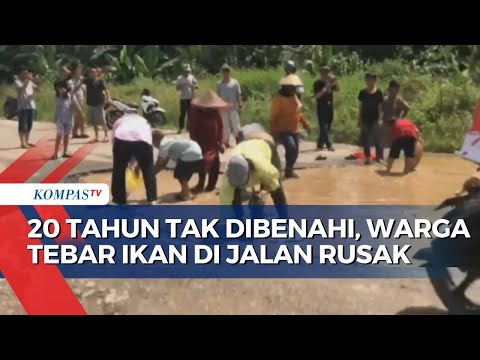 Warga Lampung Timur Tebar Ikan di Jalan Rusak yang 20 Tahun Tak Dibenahi