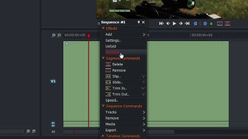 v14 Lightworks Common Problems #5 | How to remove an effect?
