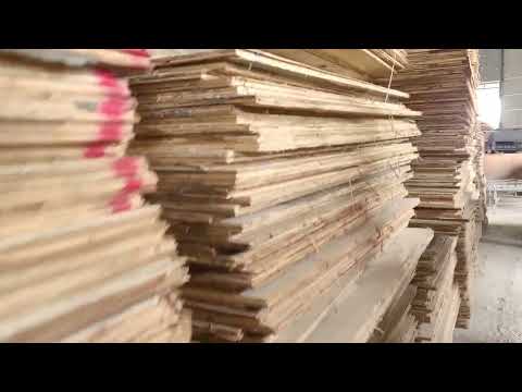 Video Bán cốt ván ép giá rẻ chỉ từ 50k - Sell core of... - youtube