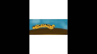 Dog animation frame by frame