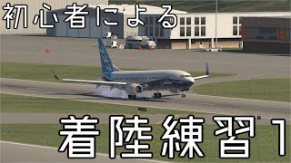 【xplane11】初心者による着陸練習1