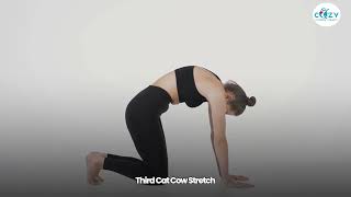 Tired of Living with Back Pain? Try This | Physical Therapy Tips