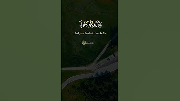 #قران_كريم #راحه_للقلب #راحة_نفسية #صوت_جميل_رائع #الشيخ_خالد_الجليل #سورة_غافر #المصحف #quran