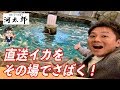 【イカ活け造り】佐賀直送の新鮮イカを目の前で捌いていただく！【河太郎/福岡・中洲】