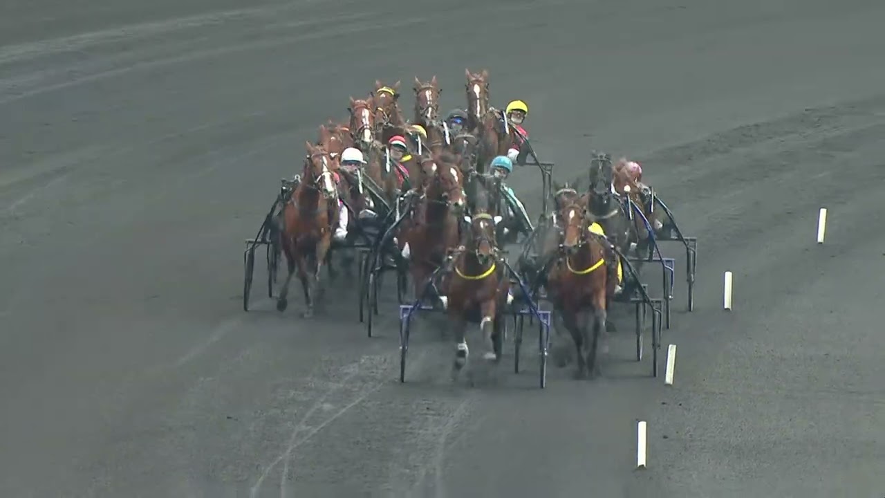 PRIX DE BOURGOGNE - AMERIQUE RACES Q5 - LA COURSE