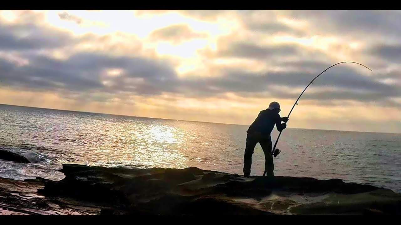 Great Ocean Road, Lorne Jump Rock Fun: Salmon, Pinky, and Turkish Breakfast Delight