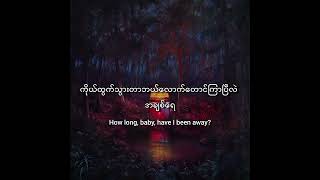 Meet Me In The Woods - Lord Huron (Mmsub)