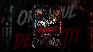 Orgoliul ne a Despărțit #duet #manelenoi2026 #music #hit #manele  #love