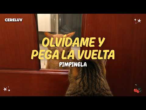 Pimpinela - Forget Me and Get Lost (Lyrics)