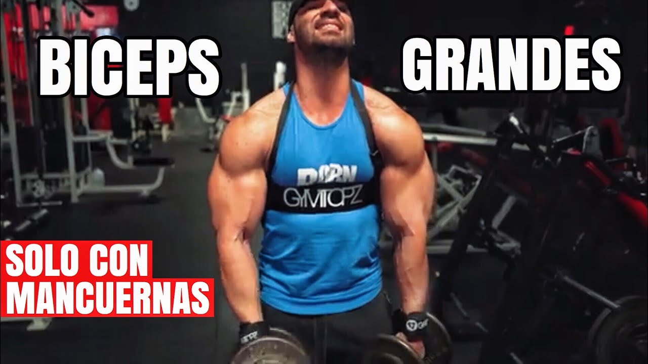 Ejercicios De Biceps Con Mancuernas