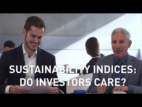 Sustainability indices: do investors actually care? Insights by Luc Paugam and Hervé Stolowy