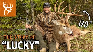 Buck Commander Achtergrond Buck Commander YouTube