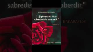 Allah Sabredenlerle Beraberdi̇r